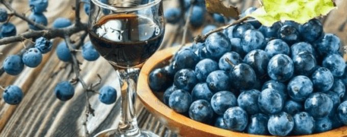 Вино з терну в домашніх умовах простий рецепт