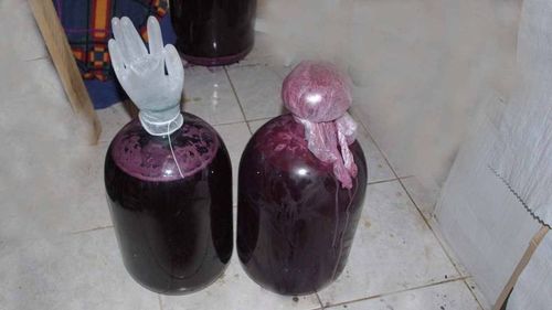Вино з винограду ізабелла в домашніх умовах простий рецепт з фото