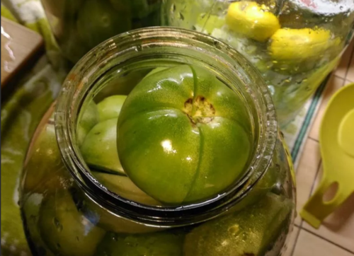 Зелені помідори на зиму простий рецепт без стерилізації
