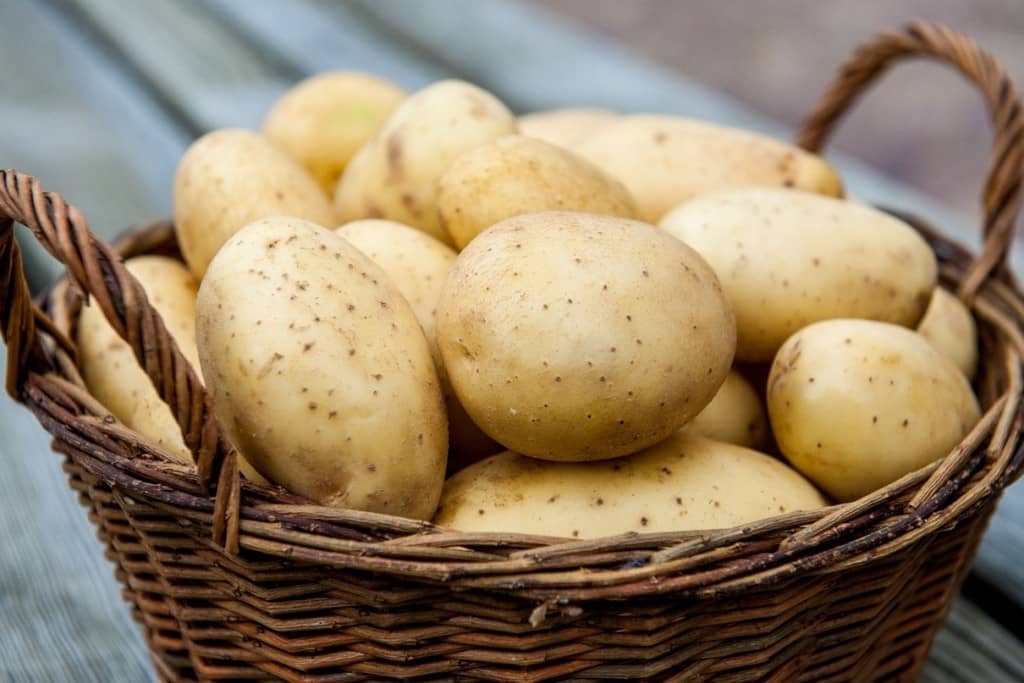 5 фактів про користь картоплі, які ви можливо не знали