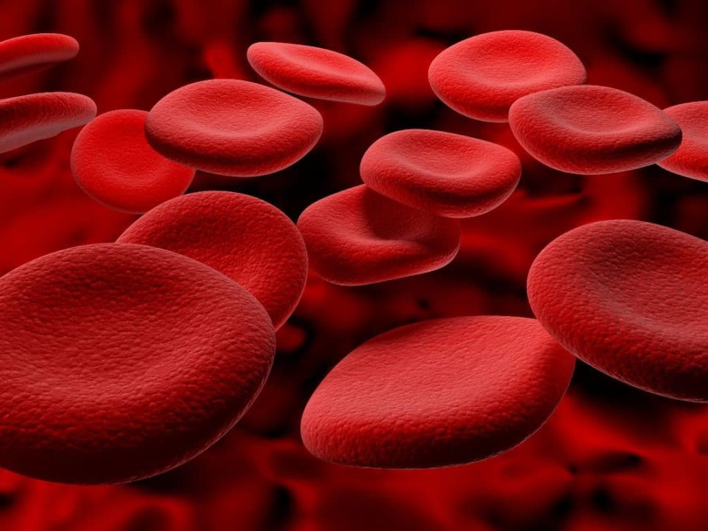 Продукти для розрідження крові – перелік найефективніших