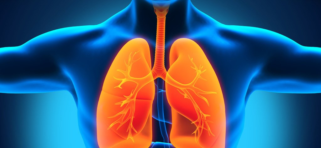 Як зберегти здоровя легенів