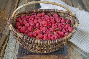 Густе сливове варення з цілими ягодами
