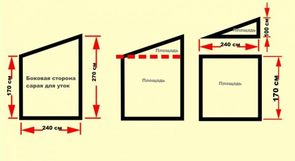 Як побудувати будиночок для качки своїми руками: конструкції і покрокова інструкція