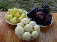 Салати з баклажанів на зиму рецепти з фото прості і смачні
