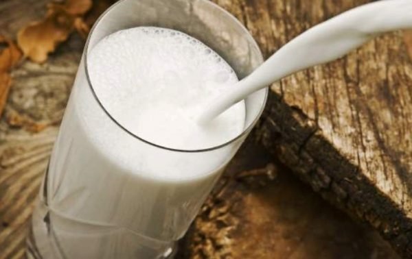 Скільки і коли корова дає молока: середній удій в літрах