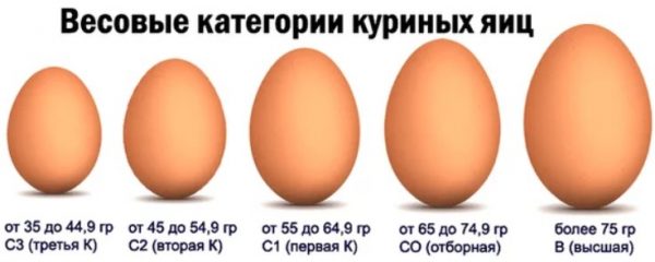 Склад курячого яйця, таблиця категорій по ГОСТу, на які поділяють і чим відрізняються, скільки важить