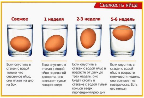 Термін придатності яєць курячих та правильне зберігання в домашніх умовах