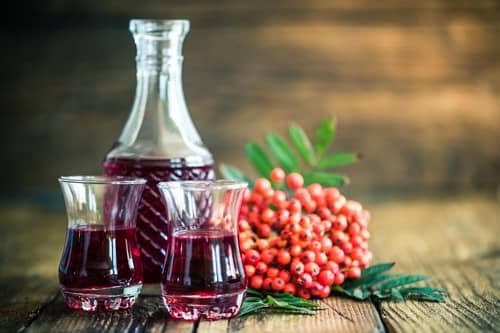 Вино з червоної горобини в домашніх умовах простий рецепт