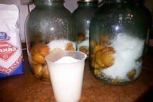 Компот з абрикосів на зиму прості рецепти на 3 літрову банку