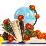Які квіти дарувати на 1 вересня вчителю: поради та майстер класи