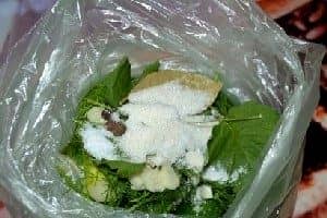 Хрусткі малосольні огірки в пакет з часником і кропом — 5 швидких рецептів з фото покроково
