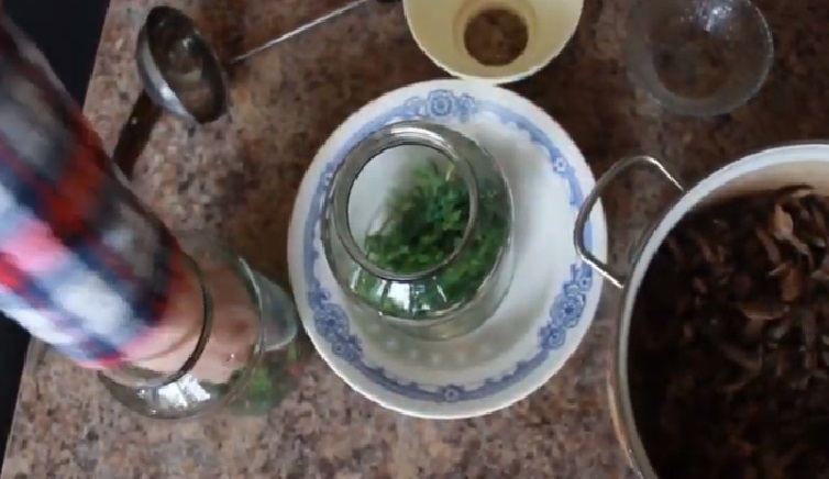 Мариновані опеньки – 6 рецептів приготування в домашніх умовах