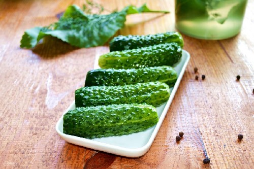 Швидкі хрусткі малосольні огірки в каструлі — класичні рецепти приготування з фото покроково