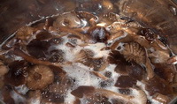 Ікра з опеньків на зиму — 5 рецептів з фото покроково
