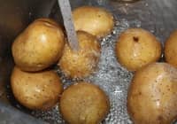 Картопля по селянськи в духовці — 5 рецептів з фото покроково