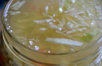 Хрустка квашена капуста рецепт на 3 літрову банку — 5 смачних рецептів з фото покроково
