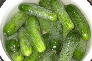 Класичні малосольні огірки в каструлі гарячим розсолом — 6 рецептів приготування в гарячій воді з фото покроково