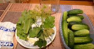 Малосольні хрусткі огірки на зиму в банках — 5 рецептів з фото покроково