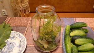 Малосольні хрусткі огірки на зиму в банках — 5 рецептів з фото покроково