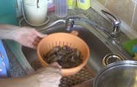 Мариновані гриби — 5 простих і смачних рецептів з фото покроково