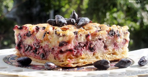 Пиріг з жимолостю — 5 простих і смачних рецептів покроково