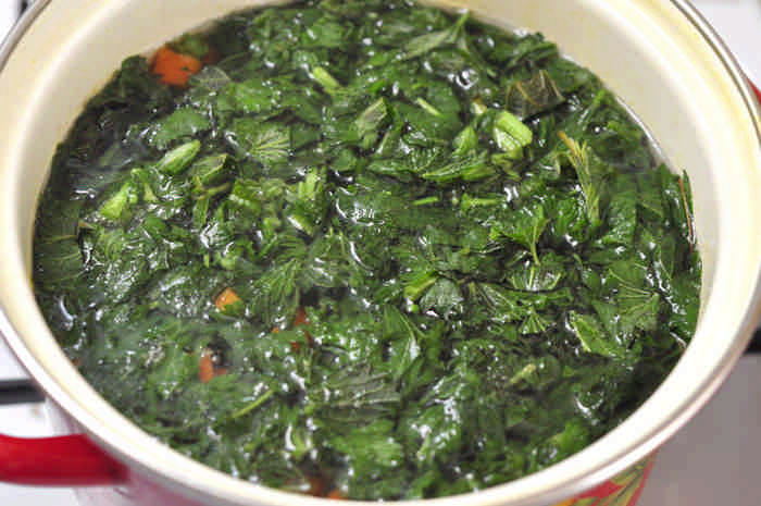Рецепти з кропиви: зелені щі і пиріг з начинкою з кропиви