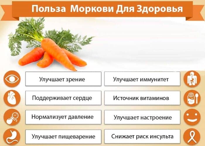 Найкорисніші овочі для організму і цікаві рецепти з них