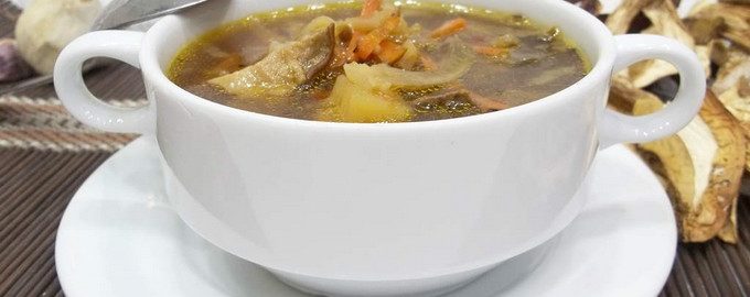 Суп зі свіжих білих грибів — 5 рецептів з фото покроково