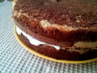 Торт зебра в домашніх умовах — 5 рецептів з фото покроково