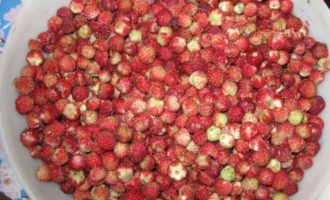 Варення з польової полуниць на зиму — 5 смачних рецептів