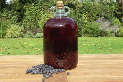 Вино з терну в домашніх умовах — 5 простих рецептів з фото покроково Вино з терну в домашніх умовах — 5 простих рецептів з фото покроково