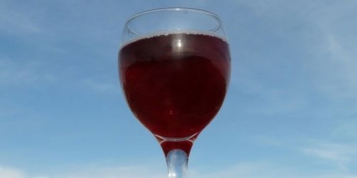 Вино з терну в домашніх умовах — 5 простих рецептів з фото покроково