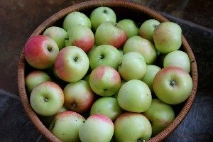 Вино з яблук в домашніх умовах — 5 простих рецептів з фото покроково