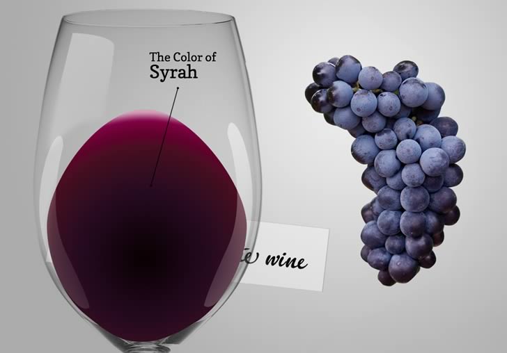 Вино Сиру: де роблять, смак, як і з чим пити + 5 фактів