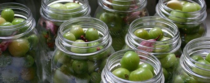Зелені помідори на зиму в банку — 5 простих і смачних рецептів з фото покроково