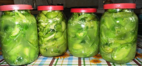Зелені помідори з часником на зиму — 5 рецептів пальчики оближеш з фото покроково