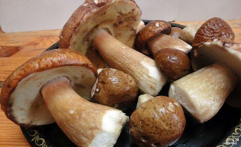Що можна приготувати із грибів: 9 апетитних рецептів